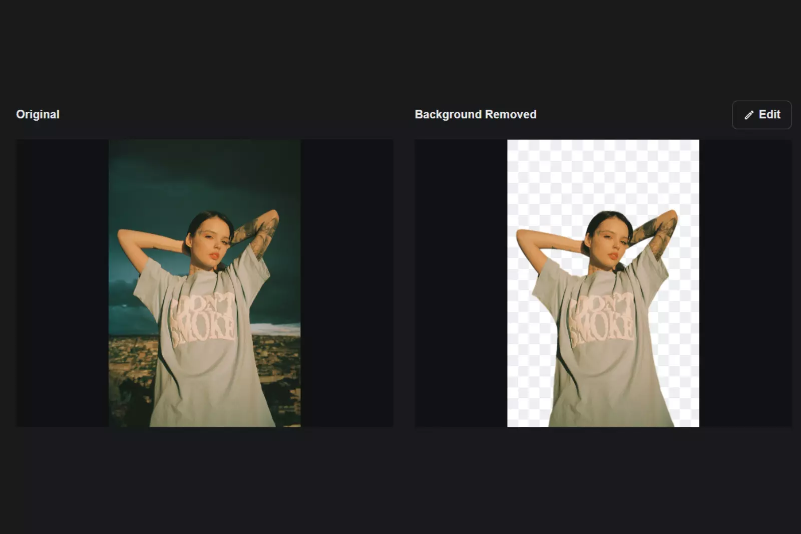 alternatives Best Ai Background Remover